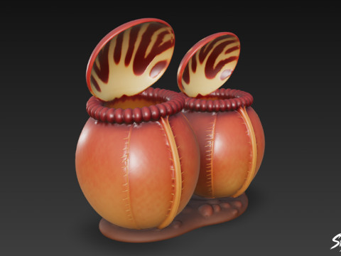 Karikatür Cephalotus follicularis 3D Model