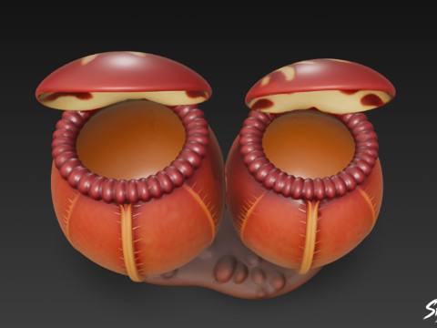Karikatür Cephalotus follicularis 3D Model