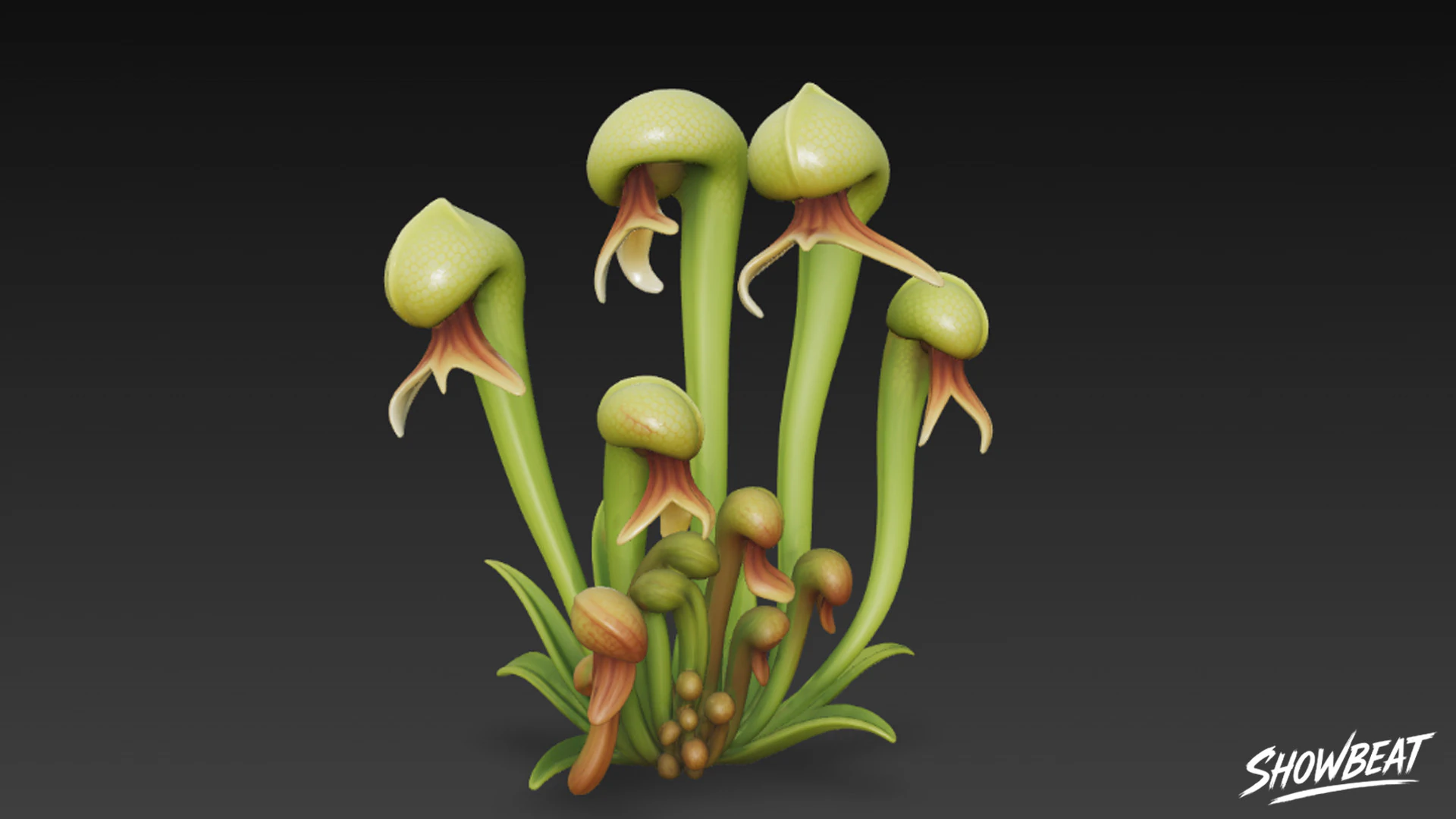 Cartoon Darlingtonia californica 3D Model .c4d .max .obj .3ds .fbx .stl .blend 