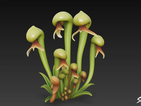 Kartun Darlingtonia californica Model 3D