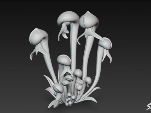 कार्टून डार्लिंगटनिया कैलिफ़ोर्निया 3D मॉडल