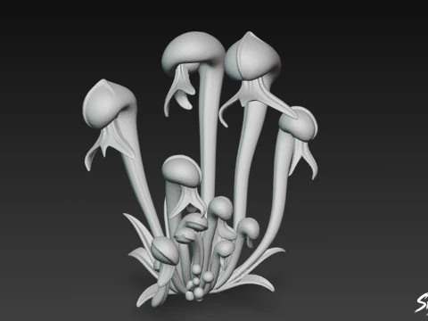 Cartoon Darlingtonia californica 3D Model