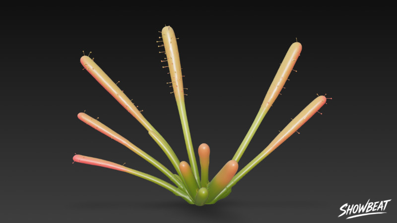 만화 Drosera capensis 3D 모델 .c4d .max .obj .3ds .fbx .stl .blend 
