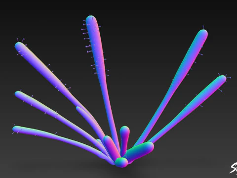 Cartoon Drosera capensis 3D Model