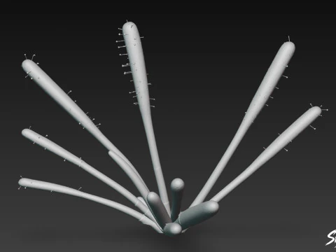 Cartoon Drosera capensis 3D Model