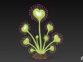 Cartoon Drosera magnifica 3D Модель