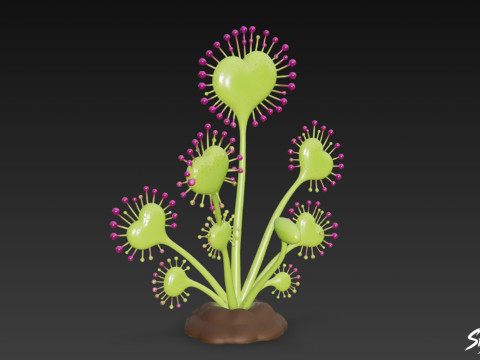 Karikatür Drosera magnifica 3D Model