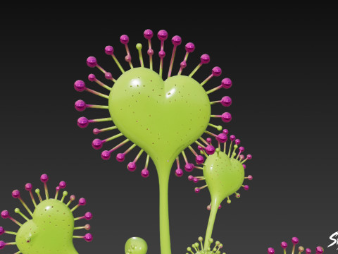 Karikatür Drosera magnifica 3D Model