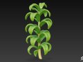 Cartoon Elodea canadensis 3D Модель