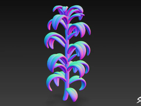 Cartoon Elodea canadensis 3D Model