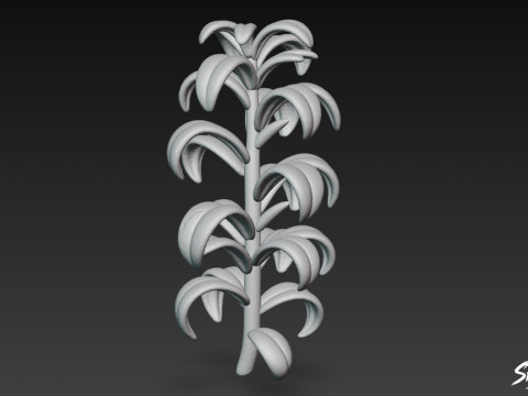 Elodea canadensis del fumetto Modello 3D