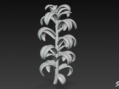 Cartoon Elodea canadensis 3D Model