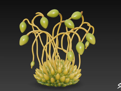 Cartoon Funaria hygrometrica 3D Model