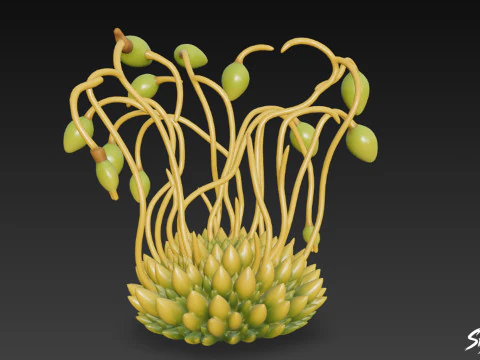 Cartoon Funaria hygrometrica 3D Model