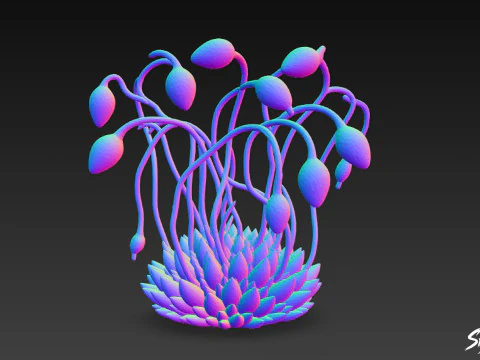 Cartoon Funaria hygrometrica 3D Model
