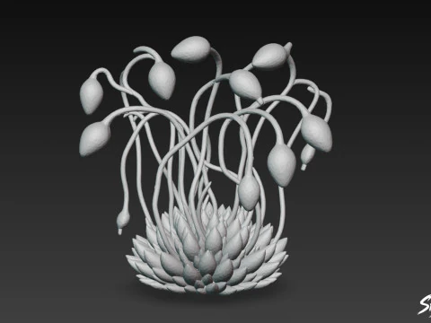 Cartoon Funaria hygrometrica 3D Model
