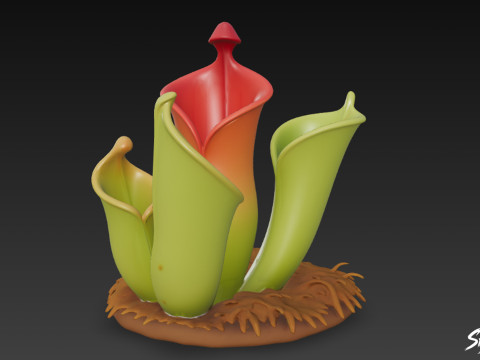 Beeldverhaal Heliamphora nutans 3D Model
