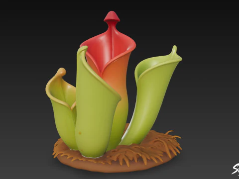 Beeldverhaal Heliamphora nutans 3D Model