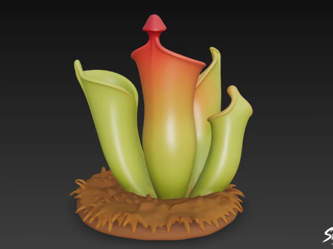 Cartoon Heliamphora nutans 3D Model