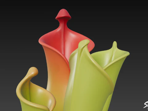 Cartoon Heliamphora nutans 3D Model