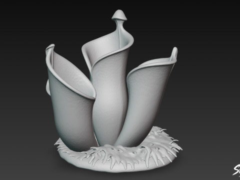 कार्टून हेलियमफोरा नूतन 3D मॉडल