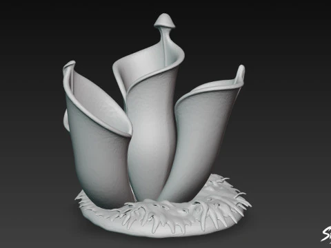 Cartoon Heliamphora nutans 3D Model