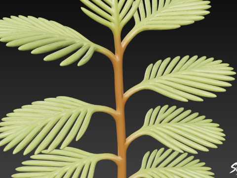 Kartun Myriophyllum spicatum Model 3D