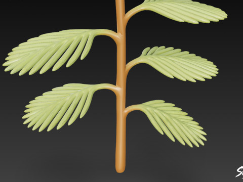 Kartun Myriophyllum spicatum Model 3D