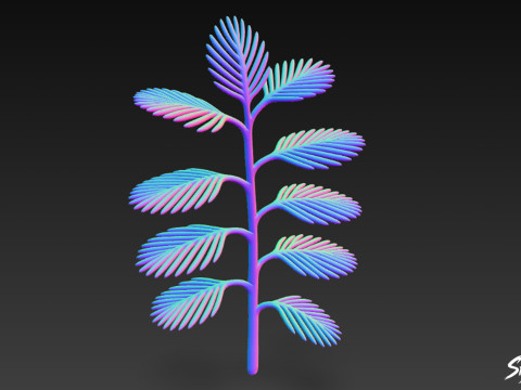 Kartun Myriophyllum spicatum Model 3D
