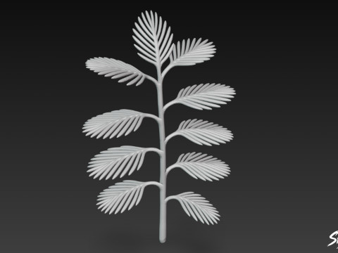 Kartun Myriophyllum spicatum Model 3D