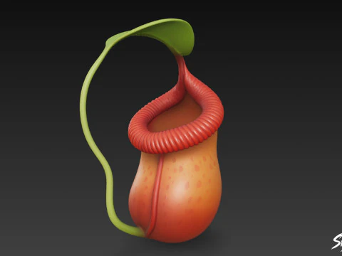 Kartun Nepenthes raja Model 3D