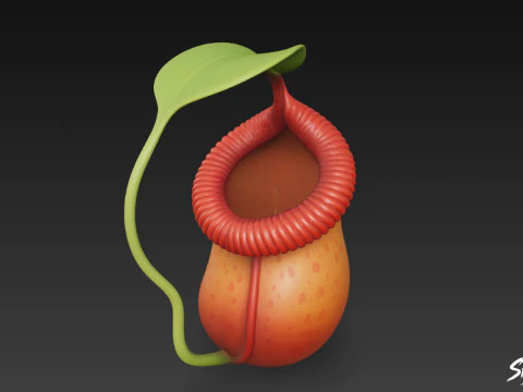 Cartoon Nepenthes rajah 3D Model