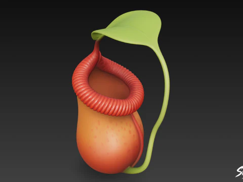 Cartoon Nepenthes rajah 3D Model