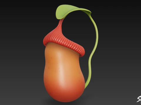 Cartoon Nepenthes rajah 3D Model