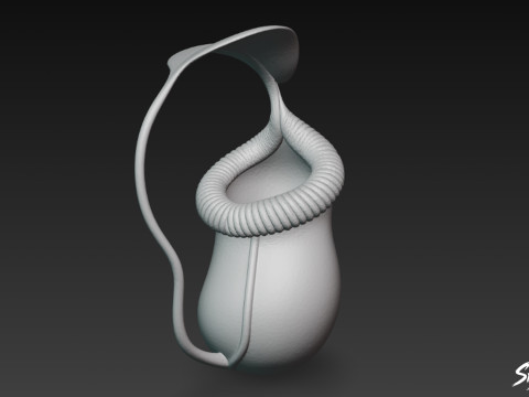 Мультфільм Непентес Раджа 3D Модель