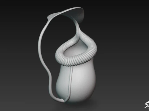 Cartoon Nepenthes rajah 3D Model