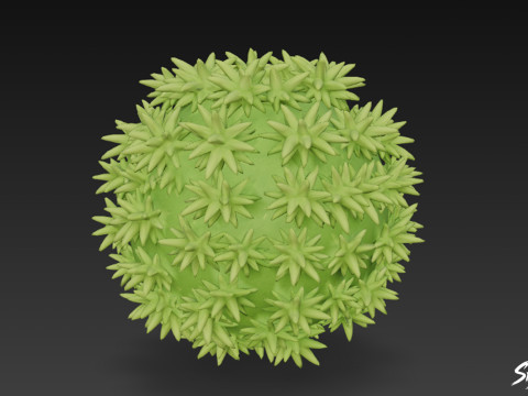 Cartoon Orthotrichum affiene 3D Model