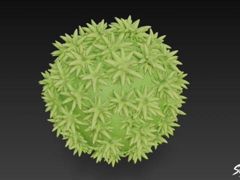 Karikatür Orthotrichum afin 3D Model