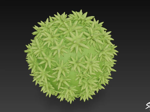 Cartoon Orthotrichum affine 3D Model