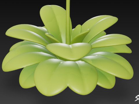 Pinguicula gigantea del fumetto Modello 3D