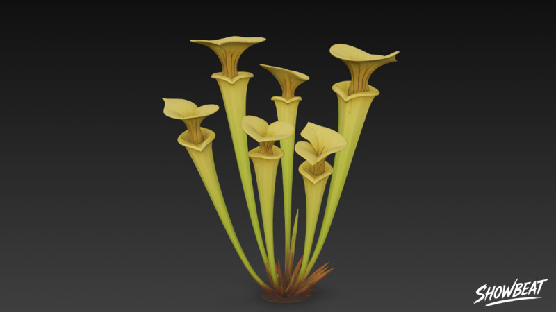 Karikatür Sarracenia flava 3D Model .c4d .max .obj .3ds .fbx .stl .blend
