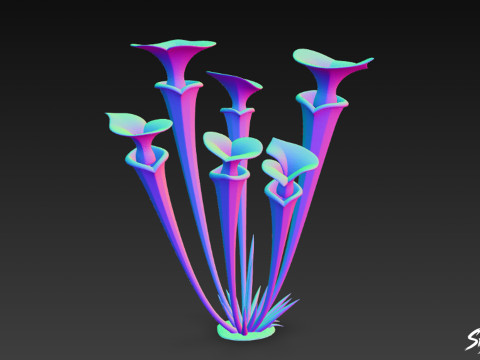 Karikatür Sarracenia flava 3D Model