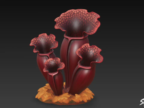 Cartoon Sarracenia purpurea 3D Model
