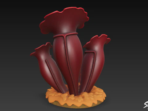Cartoon Sarracenia purpurea 3D Model