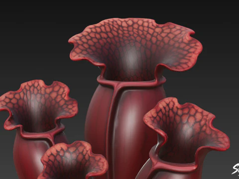 Cartoon Sarracenia purpurea 3D Model