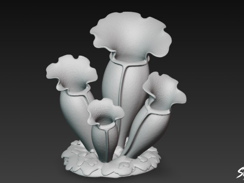 Desenho animado Sarracenia purpurea Modelo 3D