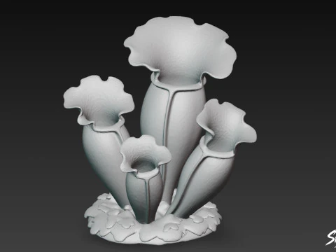 Cartoon Sarracenia purpurea 3D Model