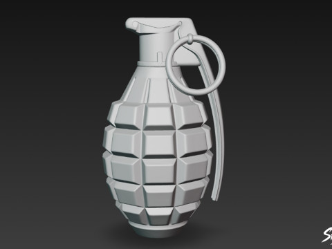 El bombası siyahı 3D Model