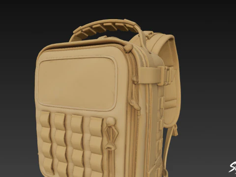 Coyote Tactical Backpack 3D Model