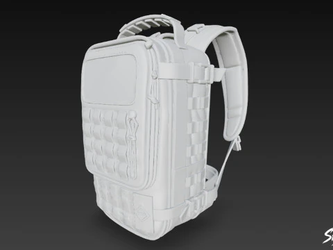Coyote Tactical Backpack 3D Model